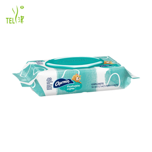 Lingettes désinfectantes biodégradables jetables sans alcool, lingettes nettoyantes antiseptiques individuelles pour les voyages et la maison - Product Image 2