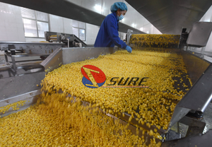 <span class=keywords><strong>Ligne</strong></span> de traitement de maïs en conserve personnalisée de haute qualité pour le maïs sucré/maïs - Product Image 4