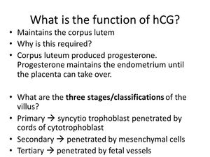 Kostenloser Versand One <span class=keywords><strong>Step</strong></span> HCG Schwangerschaft teststreifen 2,5mm - Product Image 5