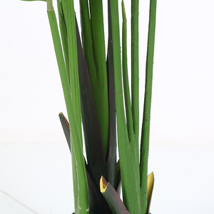 Precio de fábrica Artificial Ravenala viajero de árbol de palma <span class=keywords><strong>plantas</strong></span> olla de <span class=keywords><strong>boj</strong></span> topiary de la planta de - Product Image 6