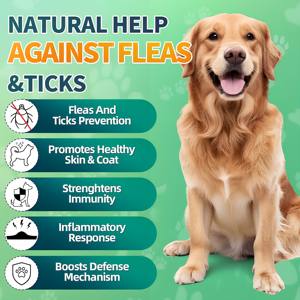 Friandises à mâcher pour chiens contre les puces et les <span class=keywords><strong>tiques</strong></span>, soutien immunitaire naturel, santé de la peau et du pelage, toutes races et âges, saveur poulet, ODM&OEM - Product Image 4