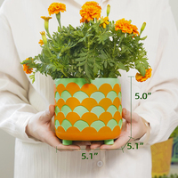 Drôle coloré perle sauge 5 pouces fleurs succulentes jardinières petits Pots de plantes d'intérieur avec drainage