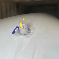 Flexitank de 20 000 L pour conteneur de 20 pieds, qualité alimentaire, certifié ISO, pour diesel, produits chimiques non dangereux, acide chlorhydrique, huile industrielle