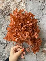 Fleur d'hortensia séchée et stabilisée 100g, modèle Tour en bois, pour la décoration de la maison et des événements - Nouveauté 2027, Meilleure Vente