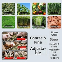 Broyeur de haute qualité en acier inoxydable pour aliments de volaille et légumes, idéal pour l'élevage.