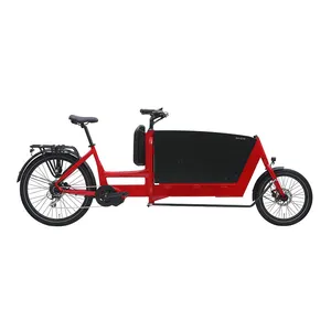 EU warehouse OEM Cargo E Bike Good Quality Electric Cargo Bike Family 3 Wheel E-Cargo Family E Bicycle