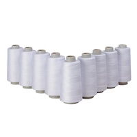 Hilo de Coser Teñido de Poliéster Hilado 100% Reciclado TKT120 de Alta Tenacidad 40/2 3000m Longitud Personalizada Taixing TX-SP 402 Resistente a la Abrasión
