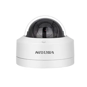 Ip 8mp 4K Nachtzicht Sterlicht Mens/Voertuig Detectie Groothoek Waterdichte Koepel 24H Warmlicht Mini Camera YC2165I-28-S