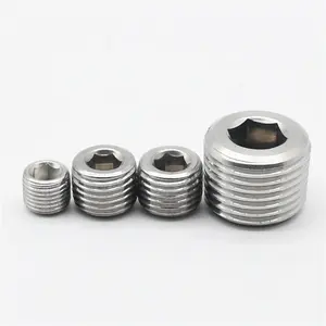 304 316 Stainless Steel NPT Male Hollow Hex Plug Fittings