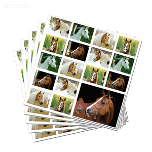 <span class=keywords><strong>Sellos</strong></span> y Etiquetas <span class=keywords><strong>Postales</strong></span> de EE. UU. <span class=keywords><strong>Comprar</strong></span> en Línea Impresión de <span class=keywords><strong>Sellos</strong></span> Papel para <span class=keywords><strong>Sellos</strong></span> 2024 Tema Caballos Álbum de Colección de <span class=keywords><strong>Sellos</strong></span> <span class=keywords><strong>Postales</strong></span> - Product Image 4