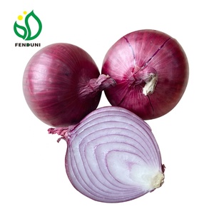 Hành Tây Đỏ Mới Hà Lan Giá Rẻ Bán Sỉ Kích Cỡ 5-10Cm, 20Kg/25Kg Túi FOB/CFR/CIF - Product Image 5