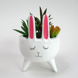 <span class=keywords><strong>Vaso</strong></span> di fiori di pinguino <span class=keywords><strong>in</strong></span> ceramica smaltato personalizzabile <span class=keywords><strong>vaso</strong></span> di fiori per animali carino <span class=keywords><strong>vaso</strong></span> di fiori <span class=keywords><strong>in</strong></span> ceramica fioriera <span class=keywords><strong>giardino</strong></span> succulento - Product Image 5