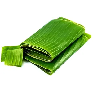 Hoja de plátano fresca vietnamita, productos de alta calidad y el mejor precio en el mercado, venta