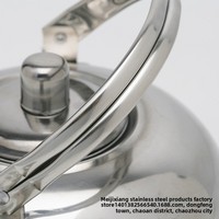 Bouilloire moderne en acier inoxydable Yolecen 3L, théière Linglong plaquée or, pot à thé sphérique avec filtre à thé