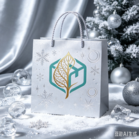 Fabrication sur mesure et production en usine de sacs cadeaux de Noël en papier, sacs de shopping pour vêtements en argent