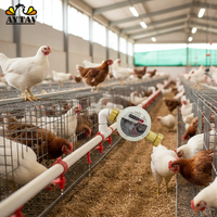 Nuevo, Mejor Precio, Medidor de Agua Electrónico al por Mayor, Bebederos Eficientes para Animales, Cría de Pollos y Conejos, Modelo AYTAV 302261, Probado 1