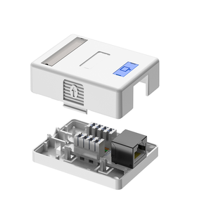 Flache Einzel- oder Doppel-Port Wandmontage RJ45 Aufputz-<span class=keywords><strong>Box</strong></span> Steckdosen-Frontplatte ABS Cat6 RJ45 RJ11 Frontplatte Cat 6 Frontplatte - Product Image 4