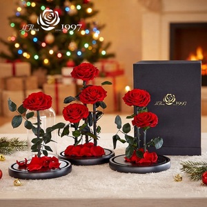 Wholesale Preserved Rose Flower Gift Box Valentine's Eternal Rose <strong>Bouquet</strong> in Glass Dome for Home Decor Gifting <strong>Forever</strong> Roses - Product Image 2
