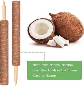 Poteau <span class=keywords><strong>de</strong></span> mousse naturelle pour plantes Monstera <span class=keywords><strong>Piquets</strong></span> <span class=keywords><strong>de</strong></span> plantes <span class=keywords><strong>de</strong></span> 12 pouces pour l'intérieur, fait à la main <span class=keywords><strong>en</strong></span> coco, support <span class=keywords><strong>de</strong></span> plantes <span class=keywords><strong>de</strong></span> <span class=keywords><strong>tomates</strong></span> <span class=keywords><strong>de</strong></span> jardin - Product Image 3