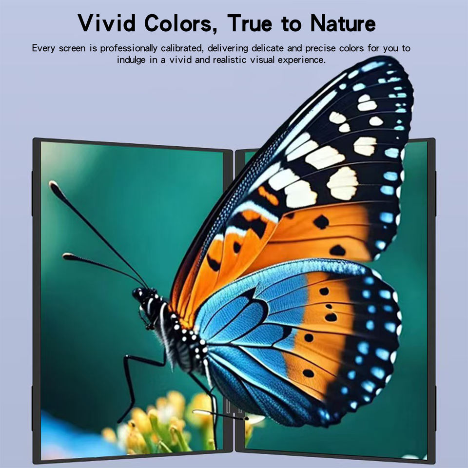 16-inch Dual-Screen Portable Monitor 1920*1080 IPS Color Calibrated ...