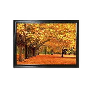 <span class=keywords><strong>ภาพ</strong></span>แขวนผนัง 3 มิติ รูปสัตว์ <span class=keywords><strong>ภาพ</strong></span>วิวทิวทัศน์ <span class=keywords><strong>โปสเตอร์</strong></span>เลนติกูลาร์ 3 มิติ สำหรับตกแต่ง - Product Image 4