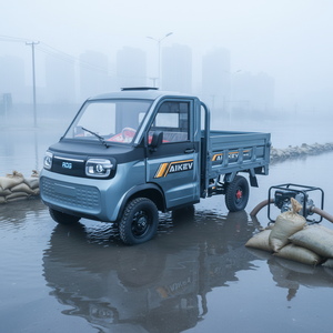 <span class=keywords><strong>Mini</strong></span> camion électrique à 2 portes, prix bas en Chine, moteur 2000W, véhicule utilitaire - Product Image 2