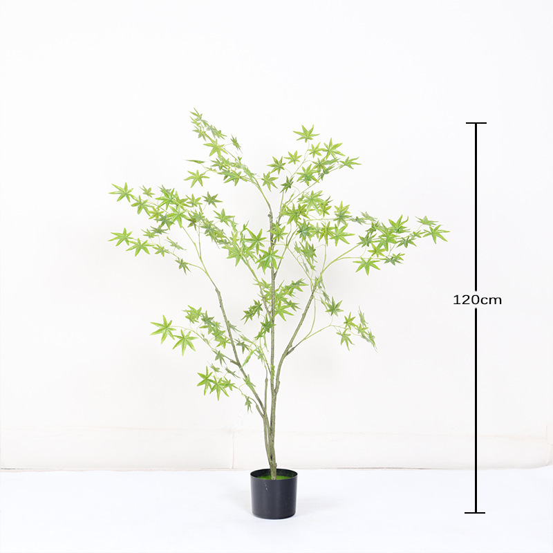 120cm