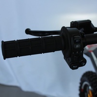 Vélo de montagne électrique à pneus larges de 70/100-19 pouces, 3000W, 250N.M de couple, 72V 36Ah, frein à disque, E-MTB pour adultes, pour la conduite hors route