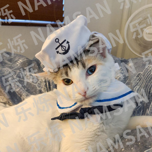 Disfraz de marinero para gatos NAMSAN, sombrero de algodón con pajarita para gatos, ropa decorativa para mascotas, estilo clásico para todas las estaciones - Product Image 4