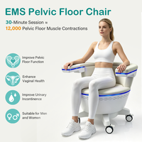 Chaise de thérapie pelvienne EMS Machiue à prix de gros pour la stimulation musculaire, la rééducation et la récupération post-partum