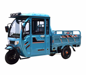 EVERBRIGHT <span class=keywords><strong>bici</strong></span> da carico <span class=keywords><strong>a</strong></span> <span class=keywords><strong>tre</strong></span> <span class=keywords><strong>ruote</strong></span> triciclo elettrico adulto di alta qualità con corpo aperto 48v tensione - Product Image 6