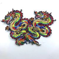 Écussons brodés personnalisés colorés en forme de dragon, grande taille, avec fixation auto-agrippante, pour vestes, sacs et projets DIY