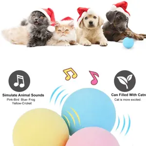 Durevole peluche suono interattivo Squeaky Ball mint play masticare Catnip Toys Pet Dog cat smart Ball