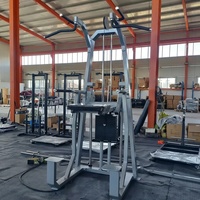 Équipement de musculation de haute qualité, directement de l'usine, pour salle de sport commerciale et usage domestique, machine d'entraînement de force pour dips et tractions assistées