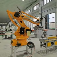 Robot de Paletización Industrial Multifuncional de Cuatro Ejes para Apilado