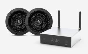 Altavoz de techo de rango completo de 5,25 pulgadas con altavoz de graves giratorio y altavoz de techo Tweeter - Product Image 2