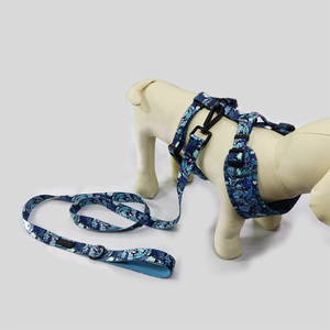 Pettorina per Cani in PVC Ecologico Personalizzabile 2025, Pettorina Regolabile in Neoprene con Sublimazione e Guinzaglio Personalizzato - Product Image 3