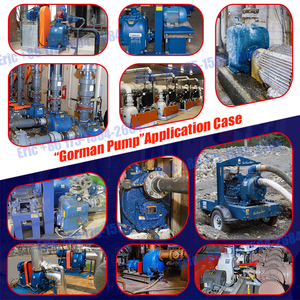 Gorman <span class=keywords><strong>Rupp</strong></span> Pompe à eaux usées auto-amorçante T10 10 pouces résistante à la corrosion vérifiée - Product Image 2