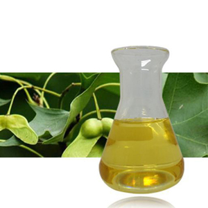 Sinir asidi 5%-6% Linolenic asit Flavone ve E vitamini Yuanbao akçaağaç tohumu zengin yeni kaynak gıda ektrakt yağı - Product Image 3