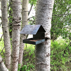 Jh-mech nhọn mái treo tường Chim trung chuyển kim loại thép chim trung chuyển kim loại gỉ treo chim trung chuyển - Product Image 6