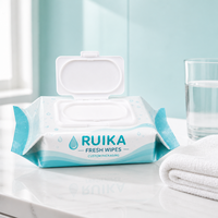 Offre Spéciale – Sachets d'emballage personnalisés populaires pour lingettes humides, vides, pour 120 lingettes démaquillantes avec couvercle refermable