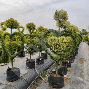 HOKBG-Sac de culture en plein air pour le jardin, gros, extérieur, 45, 50, 60, 200 gallons, PP tissé, plantes noires - Product Image 6