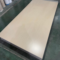 Panel Decorativo de Pared de Cristal de Carbono de Alta Gama, Impermeable e Ignífugo para Vestíbulo de Hotel, Villa o Apartamento