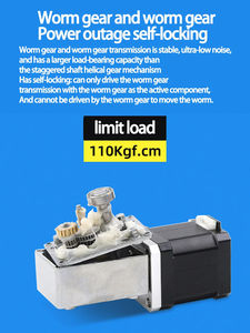 Motor Paso a Paso Híbrido de Desaceleración 42ST-5840 de 42 mm NEMA17 con Soporte, Motor de Desaceleración de CC con Engranaje de Tornillo Sin Fin de Alto Torque - Product Image 6