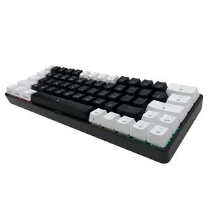 Mini Gaming Style RGB Wireless Mechanical Keyboard PC USB Portable Keyboard with PCB