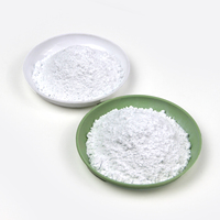 Silice fumée hydrophobe en poudre de dioxyde de silicium pour revêtement, anti-crépaison, faible absorption d'huile, résistante à la chaleur, pour caoutchouc silicone