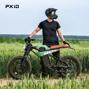 PXID 2024 New Model P6 Fat Tire E-bike 20AH 35AH Lithium Battery Electric Mountain Bike