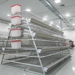 Jaulas para Pollos al por Mayor de Fábrica, Equipo Avícola Automático, Jaulas para Gallinas Ponedoras - Product Image 3