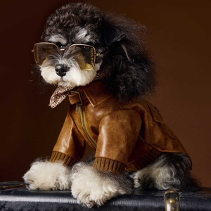 <span class=keywords><strong>Hot</strong></span> Selling Brown Luxus Hunde mäntel Haustier Kleidung Haustier Jacke Winterkleid ung für Hunde - Product Image 1