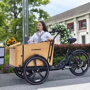 Vélo <span class=keywords><strong>cargo</strong></span> électrique 8 vitesses à prix d'usine, 250W, 3 roues, avec batterie 36V, stock Europe - Product Image 1